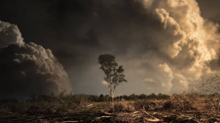 Дым и огонь видны с неба: под Харьковом горит экосистема. Фото - 285x160