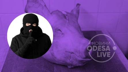 Жителям Черноморска закинули во двор голову свиньи: зачем люди угрожают частями животных и какое за это наказание - 285x160