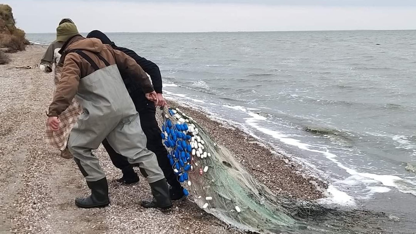 Браконьеры в Одесской области сетками ловят запретную рыбу