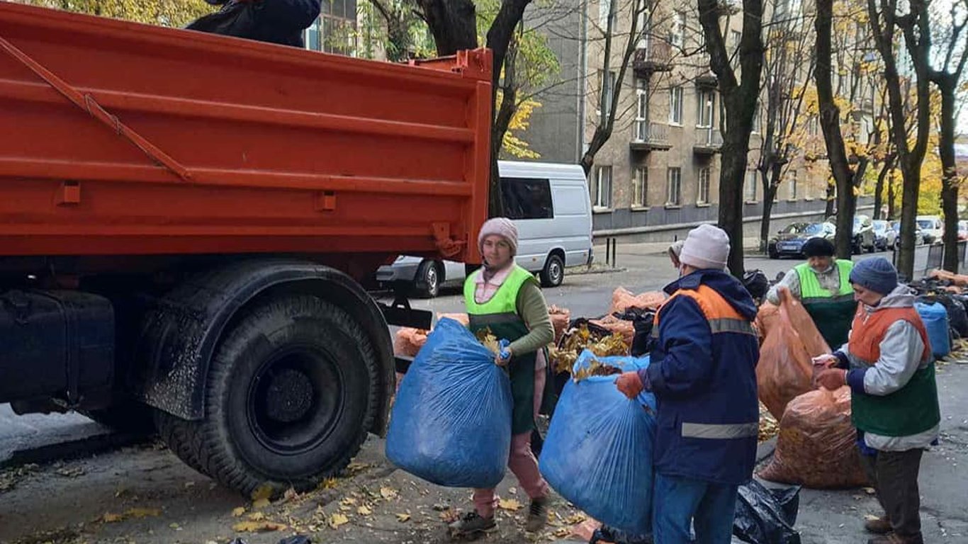 Как сэкономить средства на утилизации опавших листьев во Львове