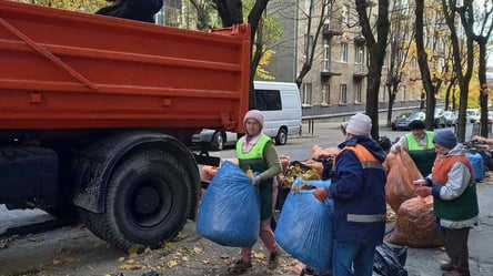 Как сэкономить средства на утилизации опавших листьев: львовские власти назвали новый способ - 285x160