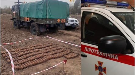 Поиски продолжаются: В Одесской области пиротехники обнаружили почти 400 артснарядов Второй мировой - 285x160