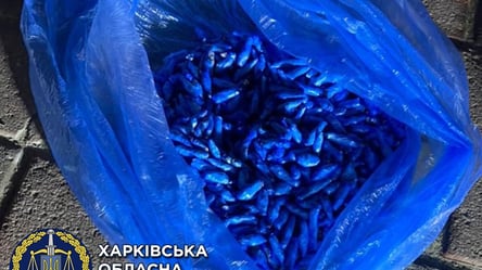 Продавали 2,5 тыс. закладок в месяц: в Харькове остановили масштабную схему продажи наркотиков. Кадры - 285x160
