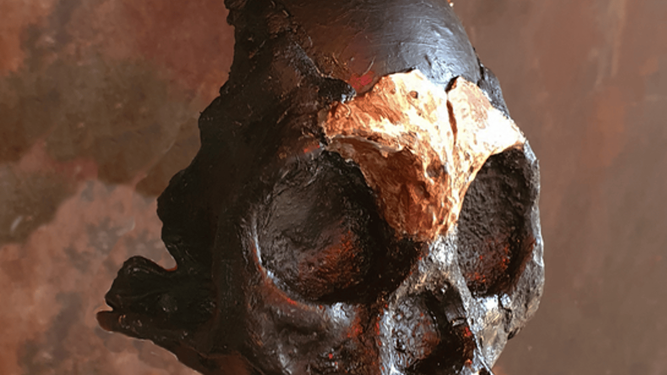 Найден первый в мире череп ребенка самого загадочного родственника человека
