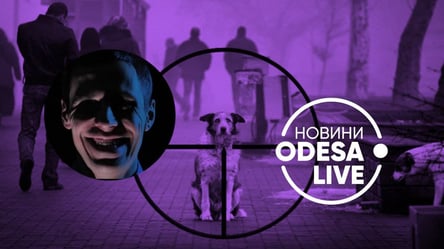 "Поліція сказала, що нічого не робитиме": на Одещині шкуродери почали полювати на вуличних собак - 285x160