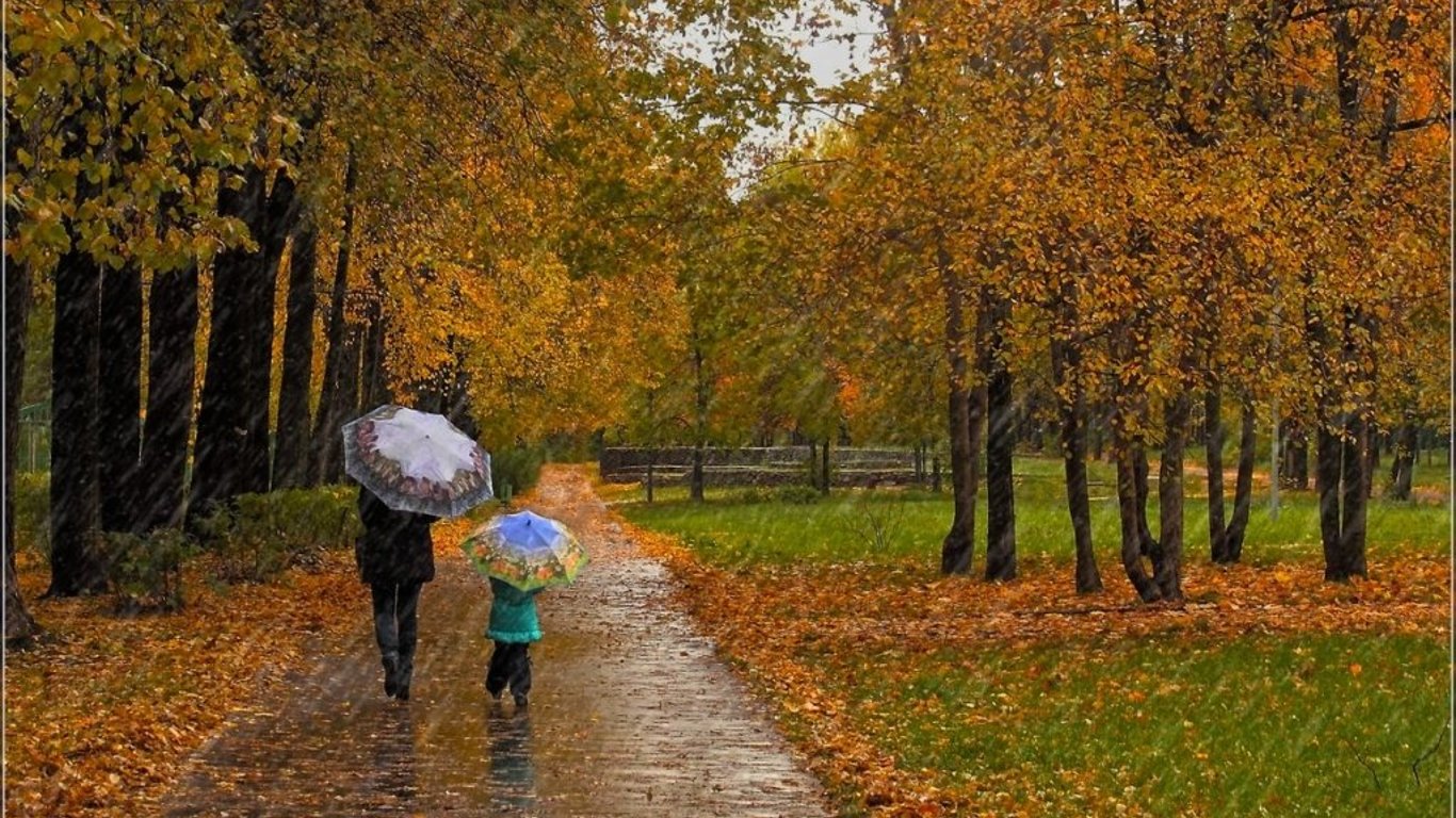 Погода во Львове сегодня - что прогнозируют синоптики на 8 ноября