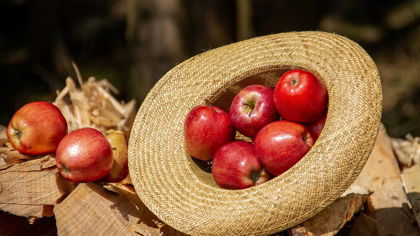 Що приготувати із яблук - три простих рецепти