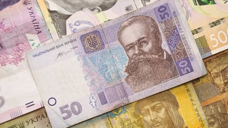 "Земельная" чиновница Терехова задекларировала подарок в 700 тысяч гривен наличными - 285x160