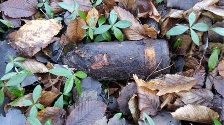 Артиллерийский снаряд и мина: на Львовщине в очередной раз нашли боеприпасы времен Второй мировой войны. Фото - 285x160