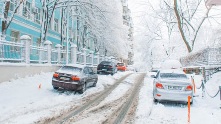 Киев ждет неделя снегопадов: все подробности - 285x160