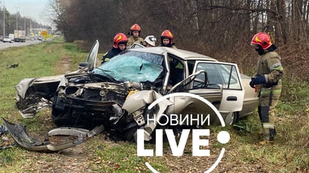 Жуткая авария произошла под Киевом: водитель погиб на месте. Видео - 285x160