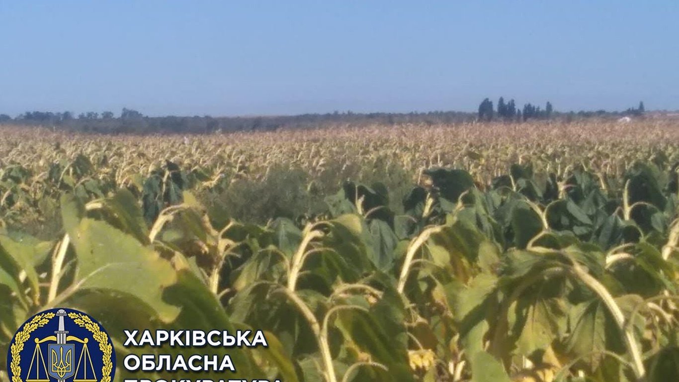 Захват земли на Харьковщине – прокуратура сообщила подробности