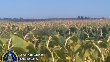 Справа щодо захоплення землі на Харківщині: прокуратура завершила слідство - 285x160