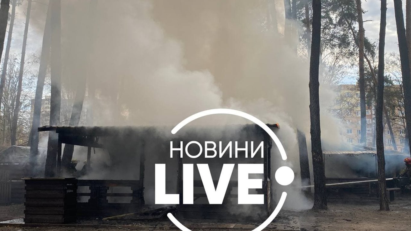 Пожежа у Києві - горить парк Совки