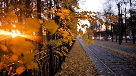Без осадков и минус на улице: какой будет погода в Харькове 13 ноября - 285x160