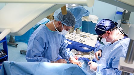 Во Львове пластический хирург из Германии будет оперировать женщину, пострадавшую от нападения коровы: подробности - 285x160