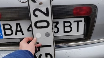 Львовская область лидирует в ввозе подержанных легковушек из-за границы: какое авто самое популярное - 285x160