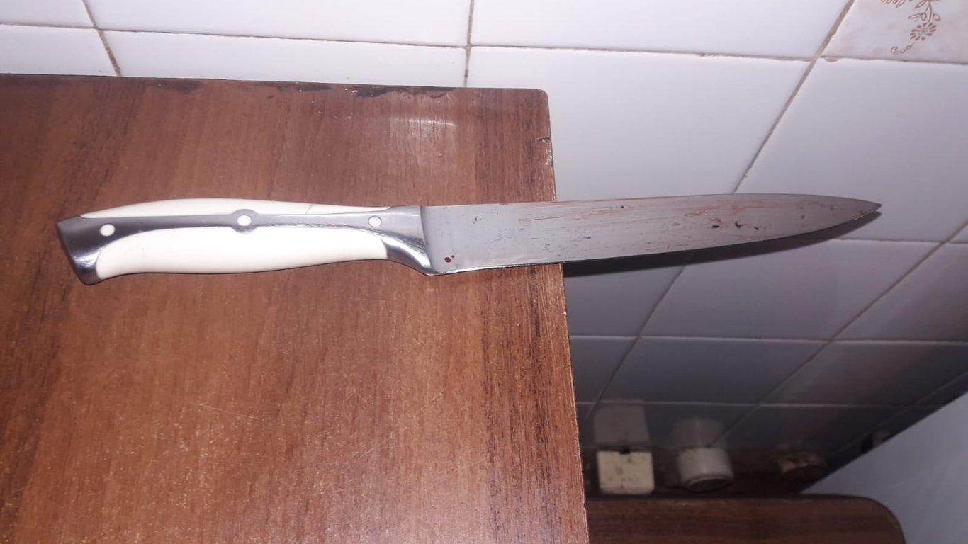 Мужчина перерезал ножом своих гостей - Новости Киева и области