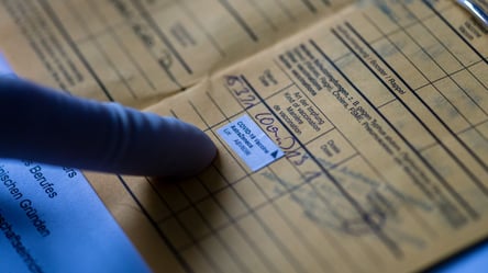 Львовские пограничники изъяли поддельные COVID-сертификаты: нарушителей будут судить - 285x160