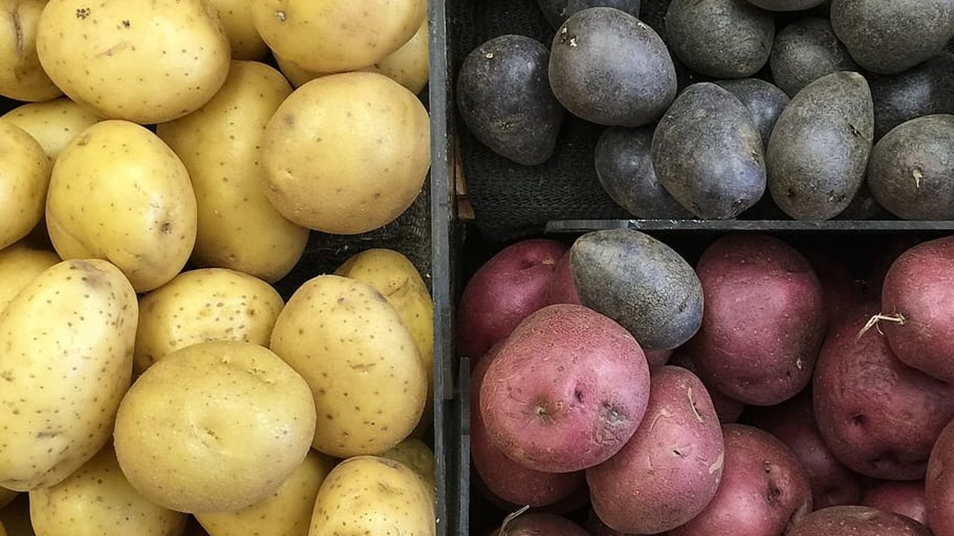 На ринках Харкова рекордно подешевшала картопля - стали відомі причини