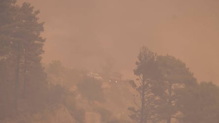 Все довкола в диму: у Харкові масштабна пожежа в екосистемі. Відео - 285x160