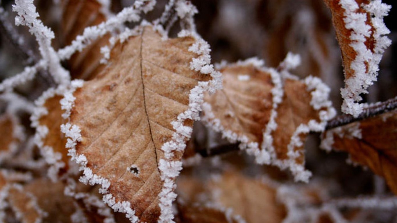 В Украину идет резкое похолодание, морозы и дожди: подробный прогноз погоды на неделю