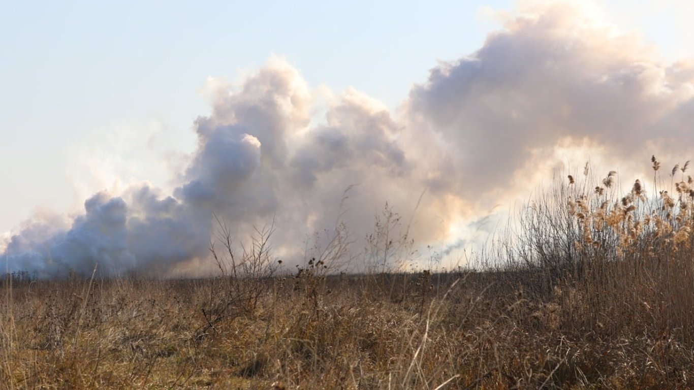 Обстрел украинских позиций в зоне ООС - 22 ноября