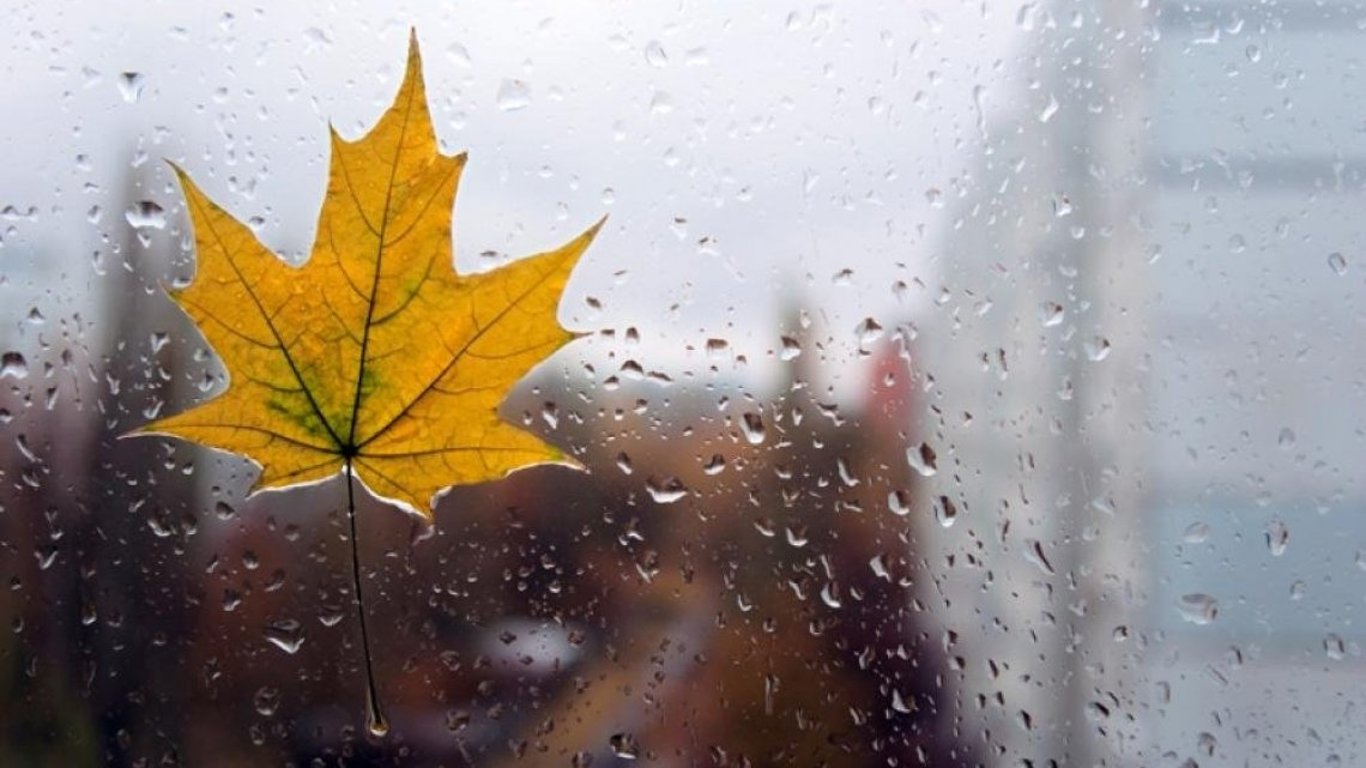 Дождливая погода во Львове - что прогнозируют синоптики на 22 ноября