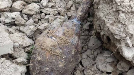 Дві небезпечні знахідки протягом години: на Львівщині знову виявили боєприпаси часів Другої Світової війни - 285x160