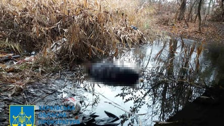 Забил до смерти и выбросил тело под мост: в Харькове нашли жесткого убийцу - 285x160