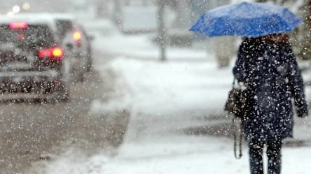 Во Львове выпадет первый снег: синоптики дали прогноз на 23 ноября - 285x160