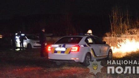 На Львівщині депутат втікав від поліції та розбив дві патрульні автівки. Фото - 285x160