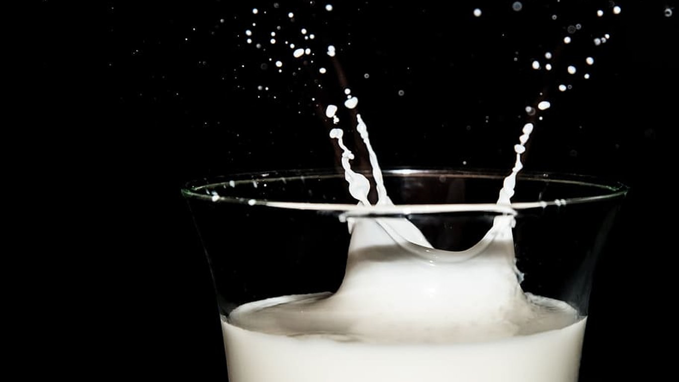 В Харьковской области произошло резкое падение производства молока