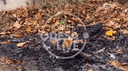 Згарище посеред вулиці: відео з місця спалення трупа у Чорноморську - 285x160