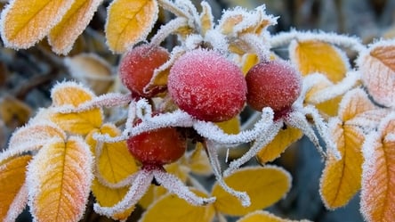 Мороз и снег: синоптик предупредила украинцев об ухудшении погодных условий - 285x160