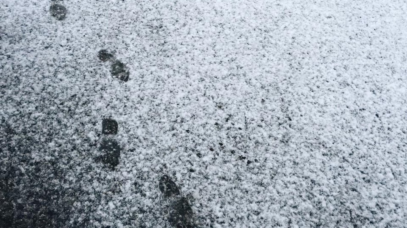 На вулицях Львова випав перший сніг - відео