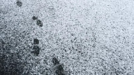 Первый снег во Львове: жители города делятся видео - 285x160