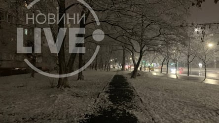 Київ у снігу: як столиця зустрічає зиму. Фото - 285x160