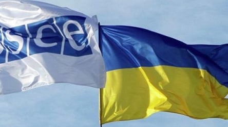 Украина в ТКГ выразила решительный протест против указа Путина о товарах из Донбасса - 285x160