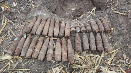 На Львовщине нашли несколько десятков снарядов времен Второй мировой. Фото - 285x160