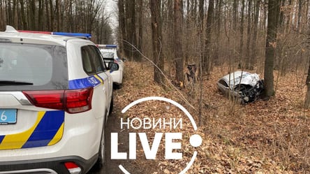Под Киевом произошло серьезное ДТП: авто слетело в кювет - 285x160