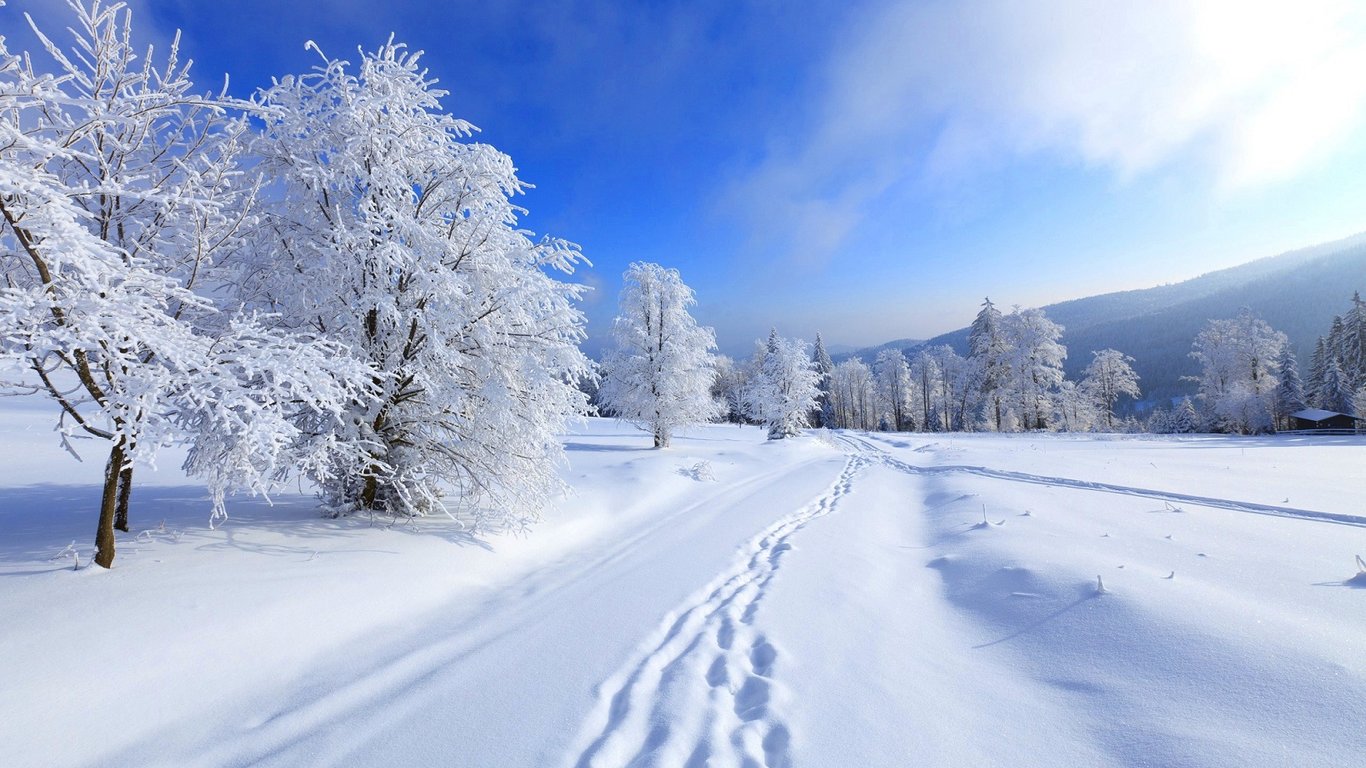 Зима 2021-2022 в Украине - прогноз погоды