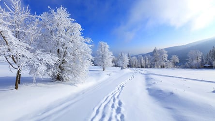 Якою буде зима в Україні: синоптик здивував прогнозом - 285x160