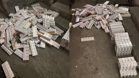 "Заховав у даху автомобіля": львівські митники вилучили цигарки на 150 тисяч гривень. Фото - 285x160