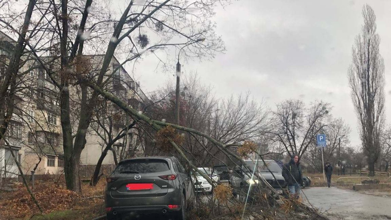 У Харкові вітер повалив гілку з дерева на позашляховик - фото