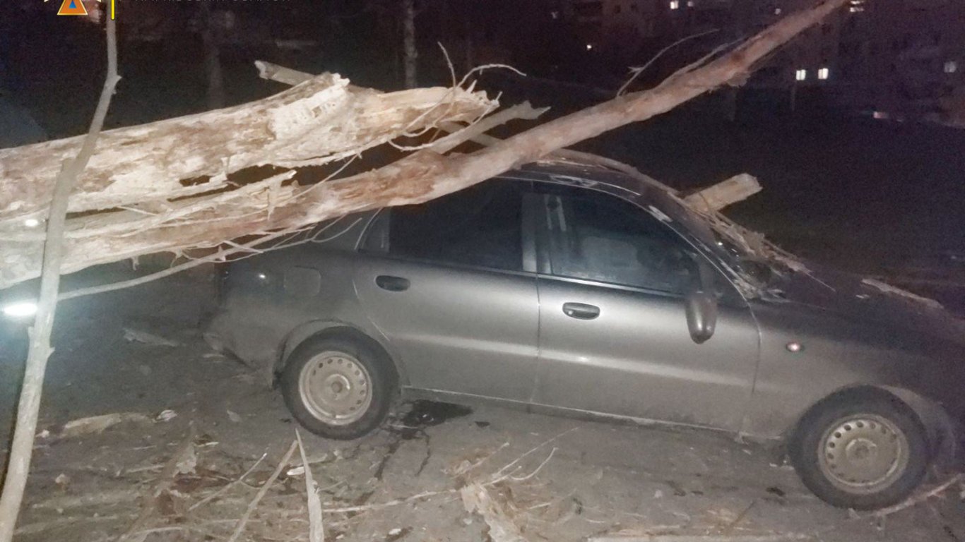 В Харькове дерево упало на автомобиль
