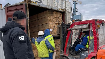 Через Одеський порт намагалися експортувати контрабандний ліс з Прикарпаття: деталі - 285x160