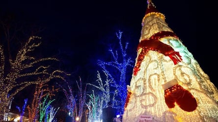 В Одессе проведут конкурс арт-елок: лучшие выставят возле Кирхи - 285x160