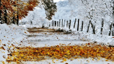 У більшості регіонів буде сніг: прогноз погоди на 1 грудня в Україні - 285x160