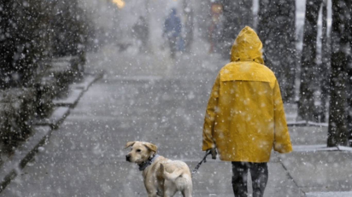 Прогноз погоди в Україні на сьогодні 2 грудня - Київ та регіони